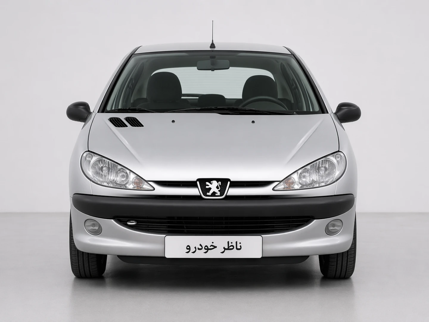 نمای مستقیم جلو پژو 206 تیپ 1 سال 1380 - 1402